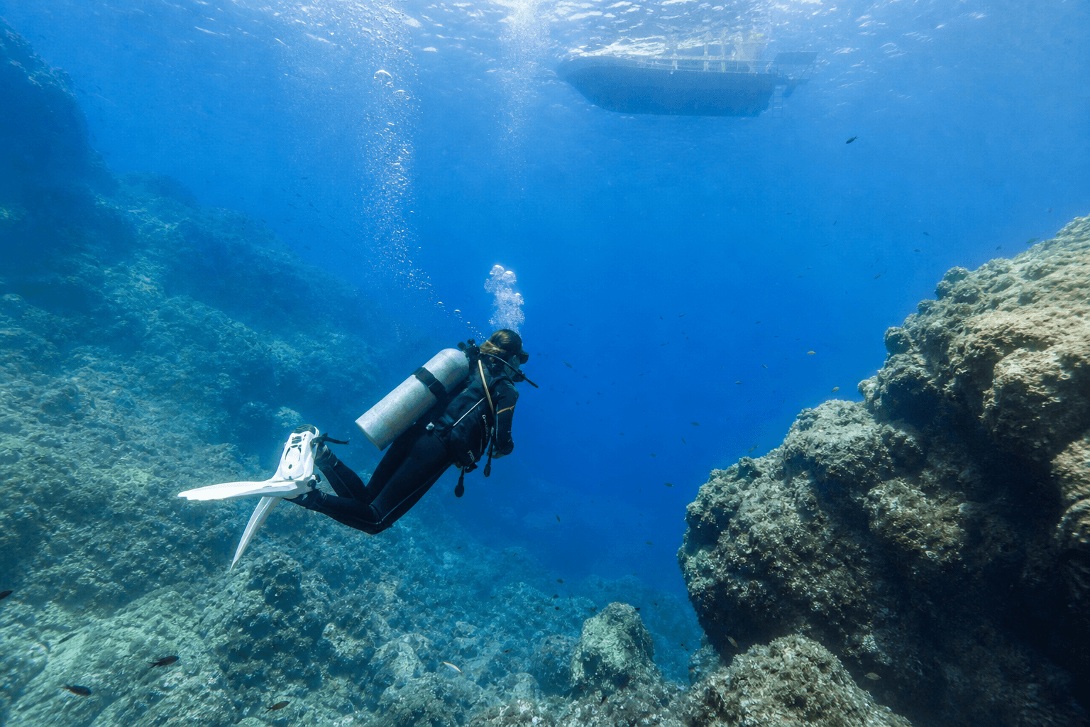 Antalya Diving Guide: DSD, Dive Sites and Best Season